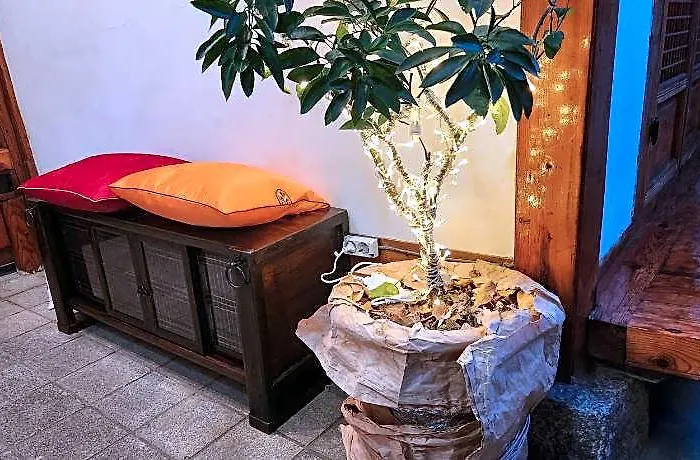 Casa de hóspedes Haemil Hanok